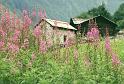Valtellina (14)